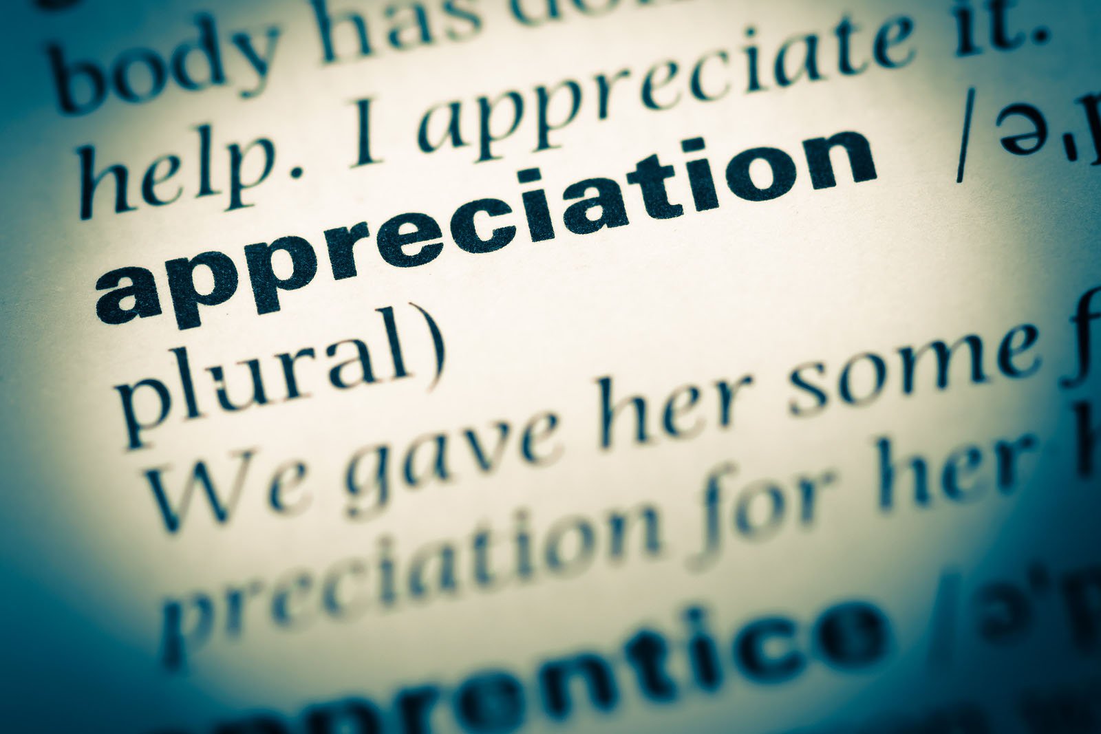 Close Up Of Old English Dictionary Page With Word Appreciation