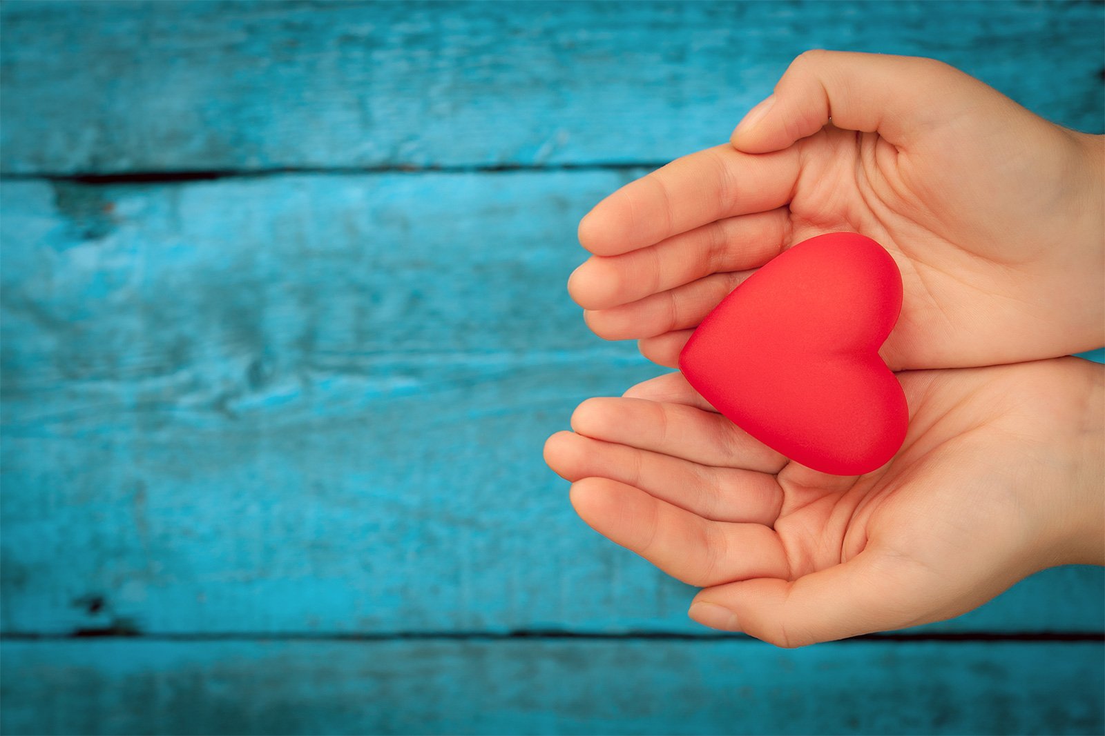 red heart in the hands