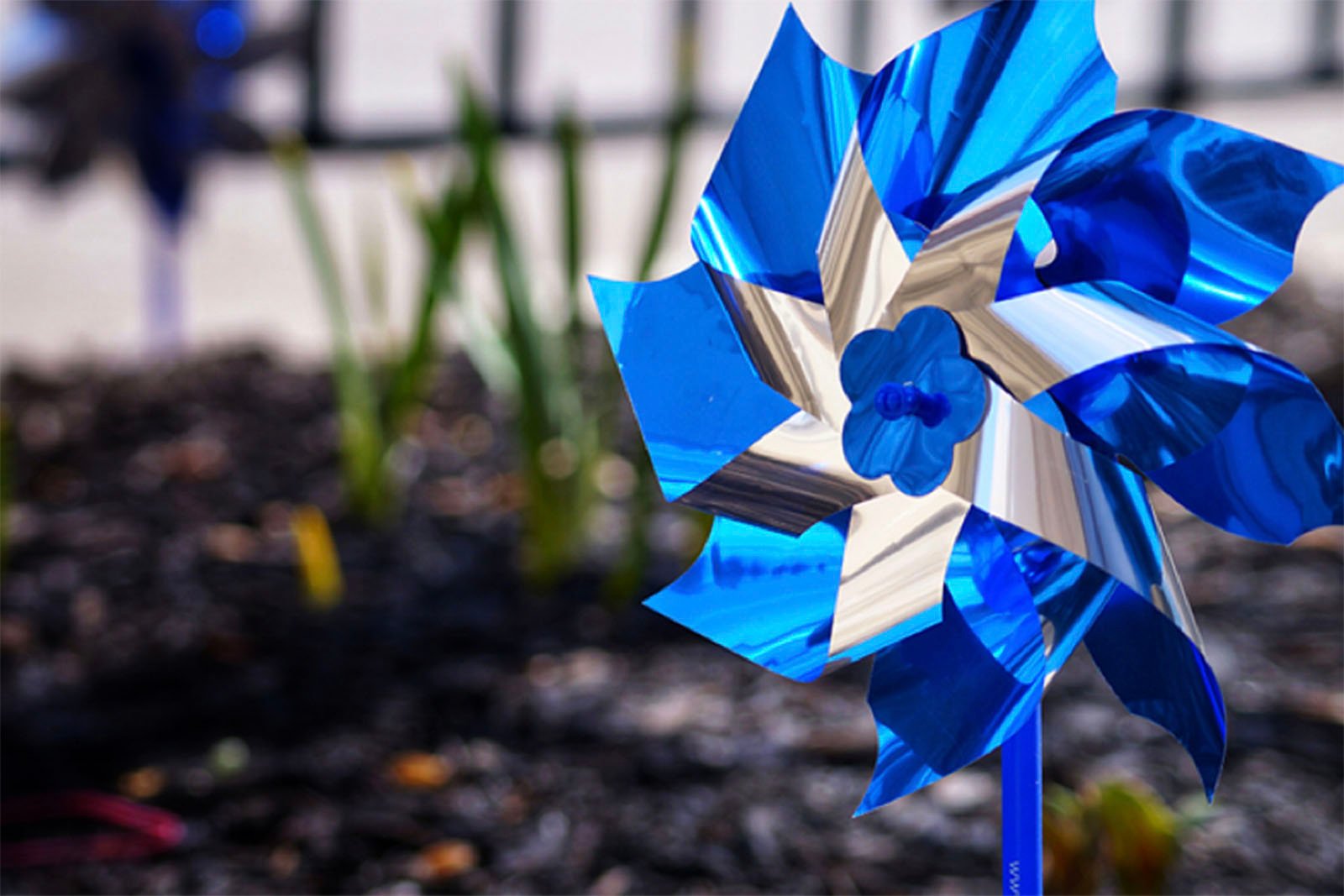 blue pinwheel